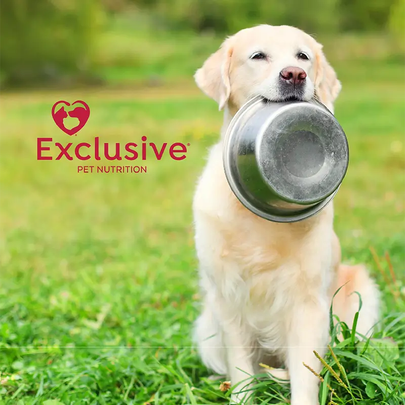 exclusive-pet-food