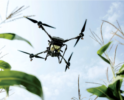 A Drone Over A Field Of Corn