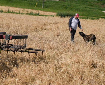 A Farmer With His Dog